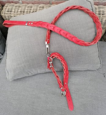 Prachtige design lijn plus halsband