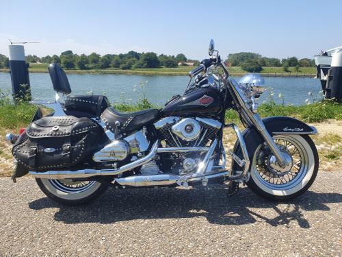 Harley- Davidson