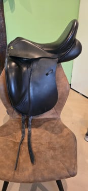 Anatomica Octant G3 treeclix