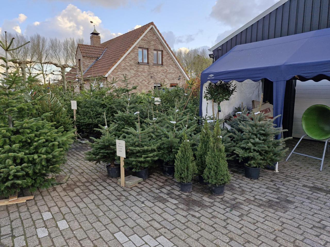 Kerstbomen van af zaterdag 22 November
