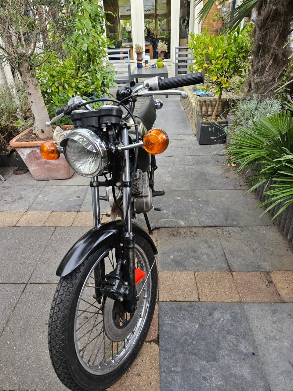 Honda cb50