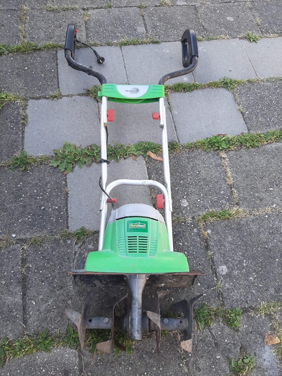 Tuinfrees