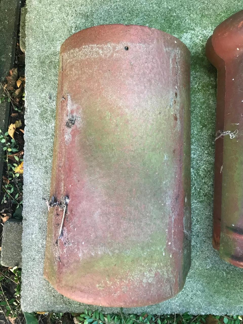 Nokvorsten (diverse types)