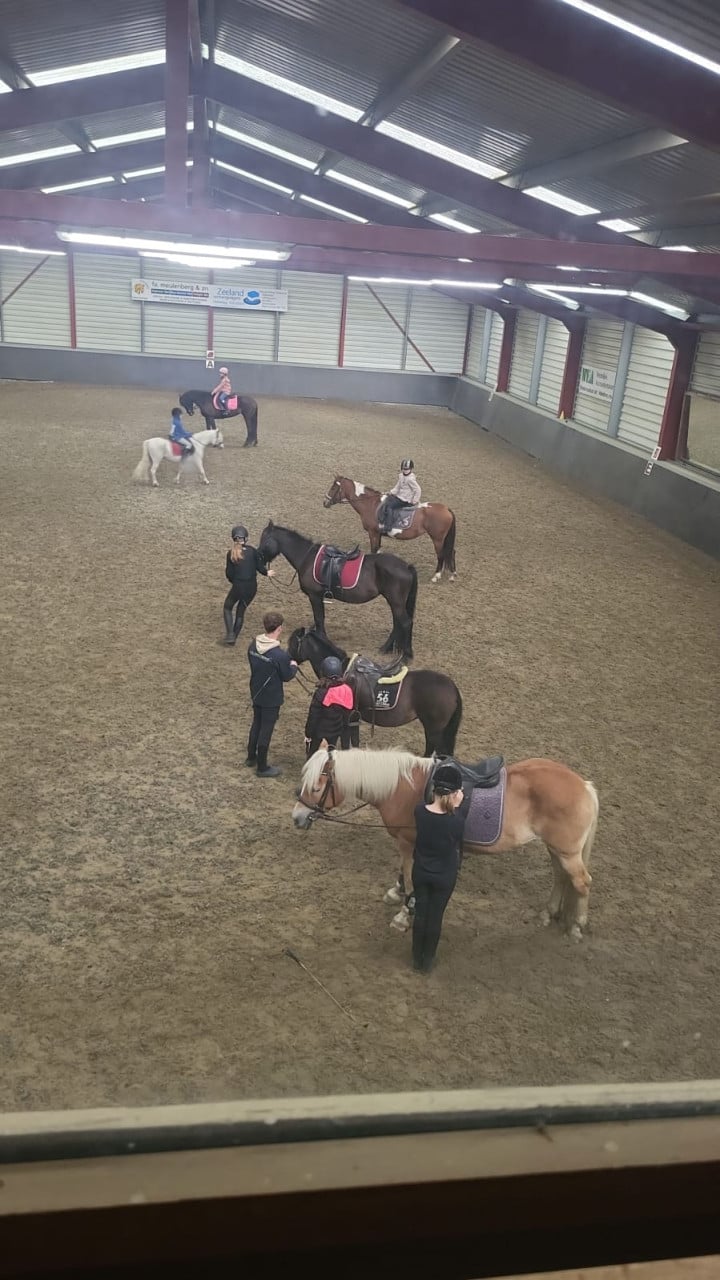 Ponykamp In Middelburg!