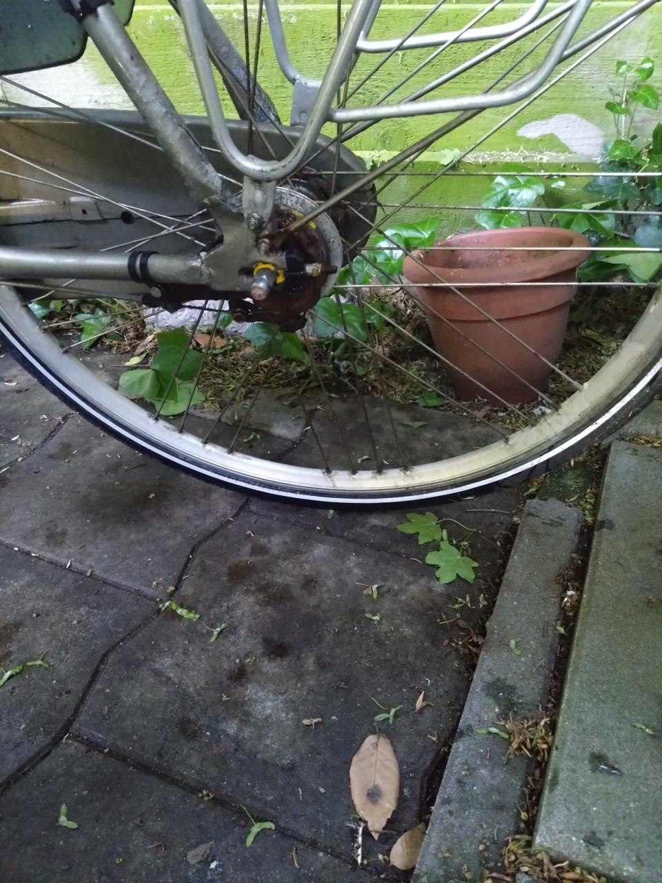 Gazelle damesfiets fiets