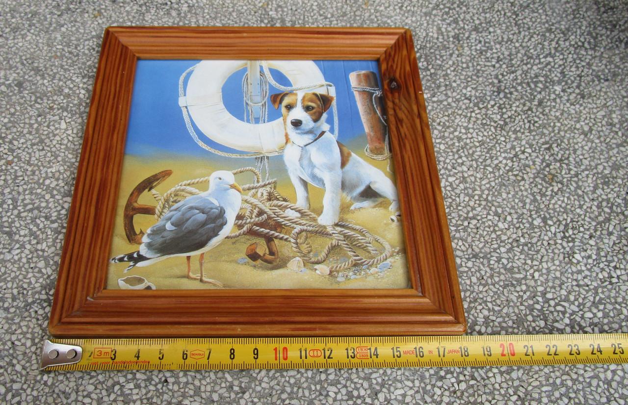 Prentje met hond en zeemeeuw