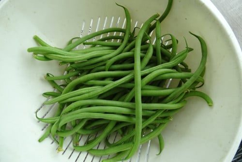 Boontjes
