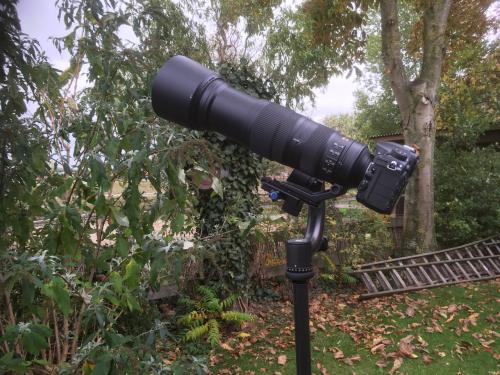 Nikon AF-S NIKKOR 200-500mm f/5.6E ED VR