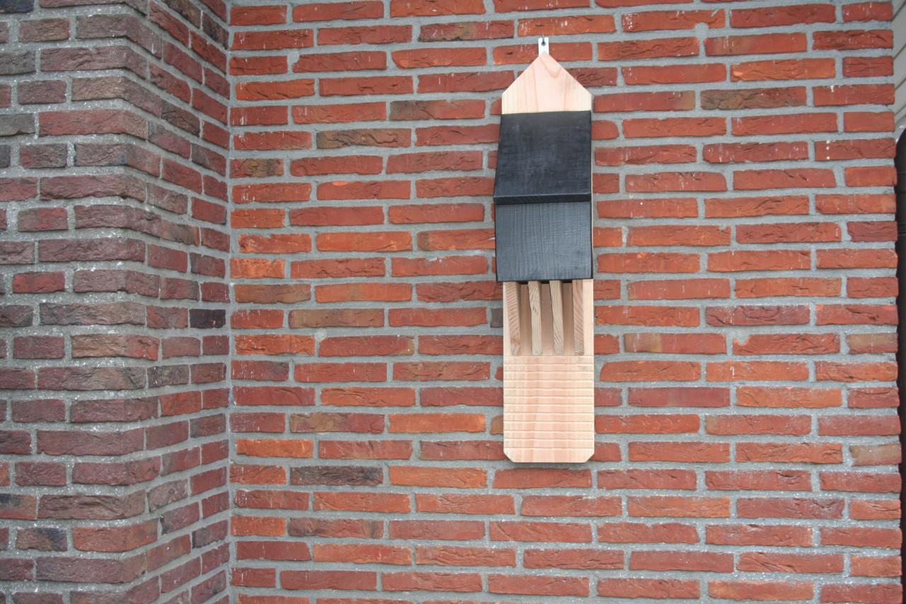 Vleermuizenkast (gereserveerd)