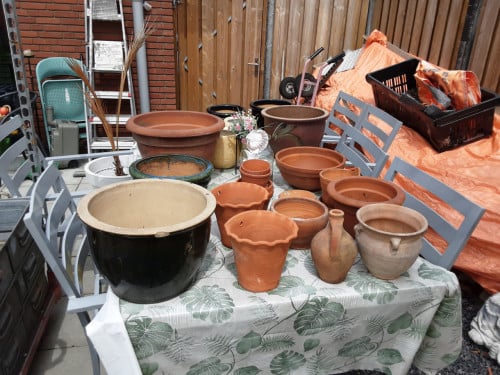 Heel veel buiten bloempotten