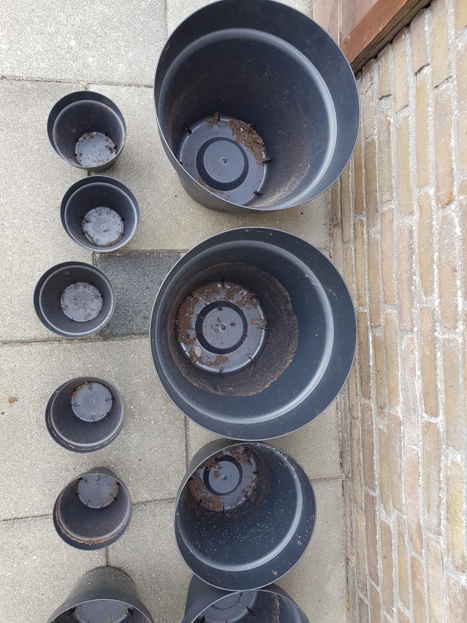 12 bloempotten