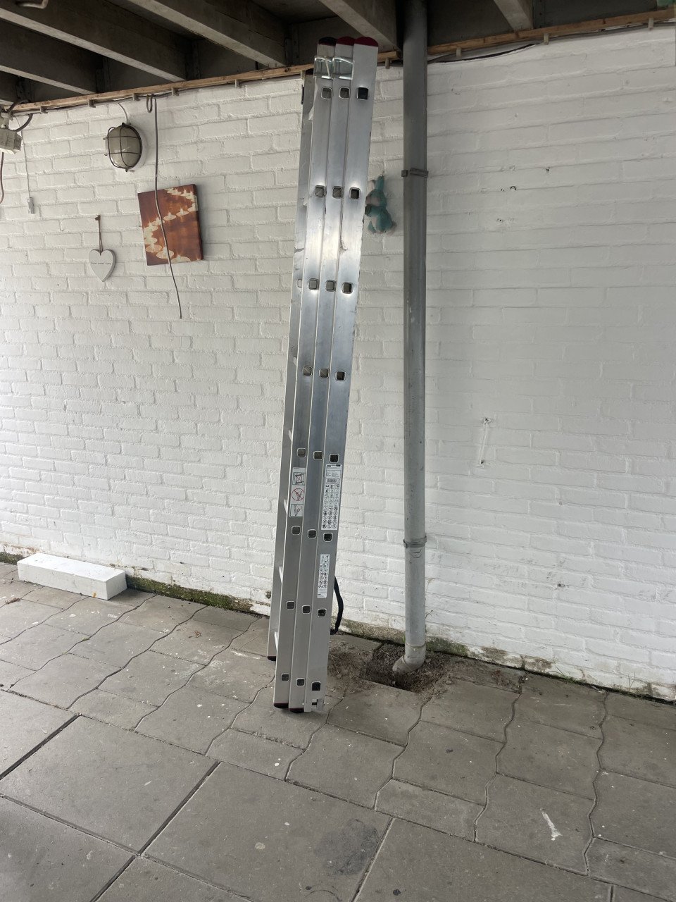 Trap ladder