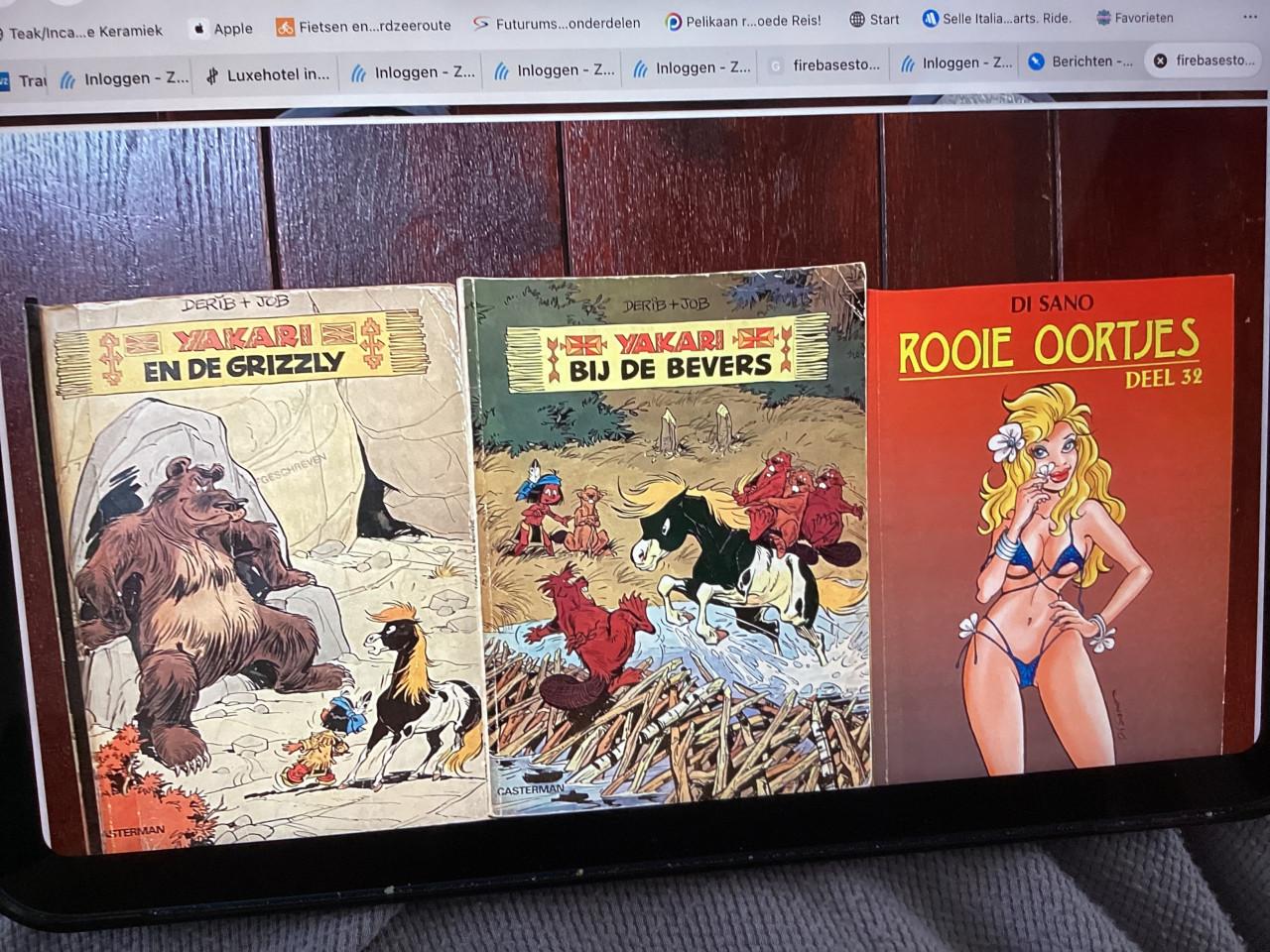 Heel veel verschillende stripboeken. Kuifje. Michel Vaillant.  Rik Ringers.