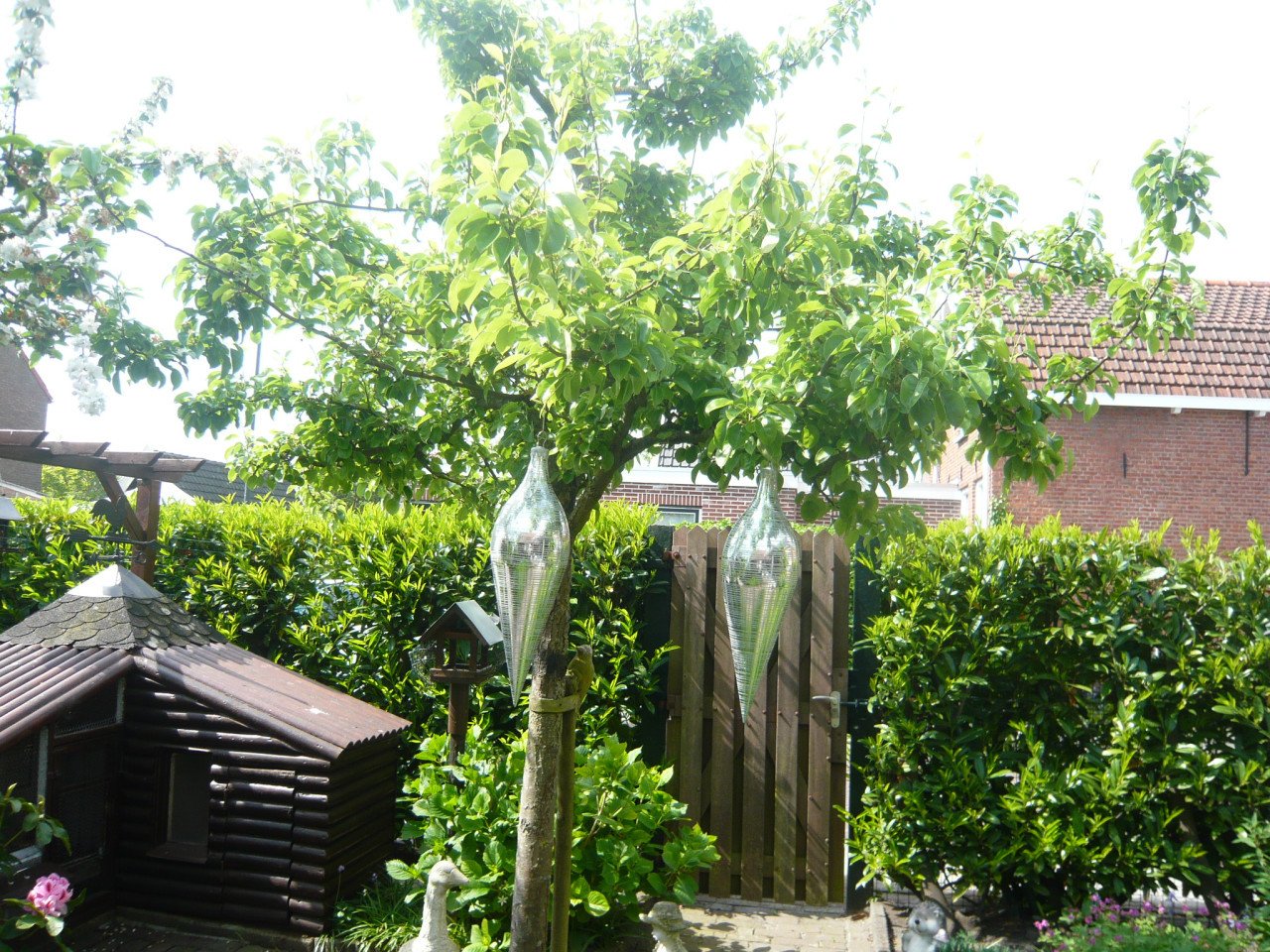 Grote kerstballen druppelvormig 60 cm hoog