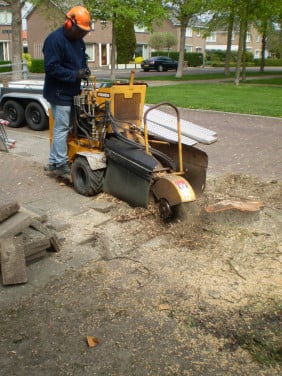 Een stronk teveel in uw tuin?