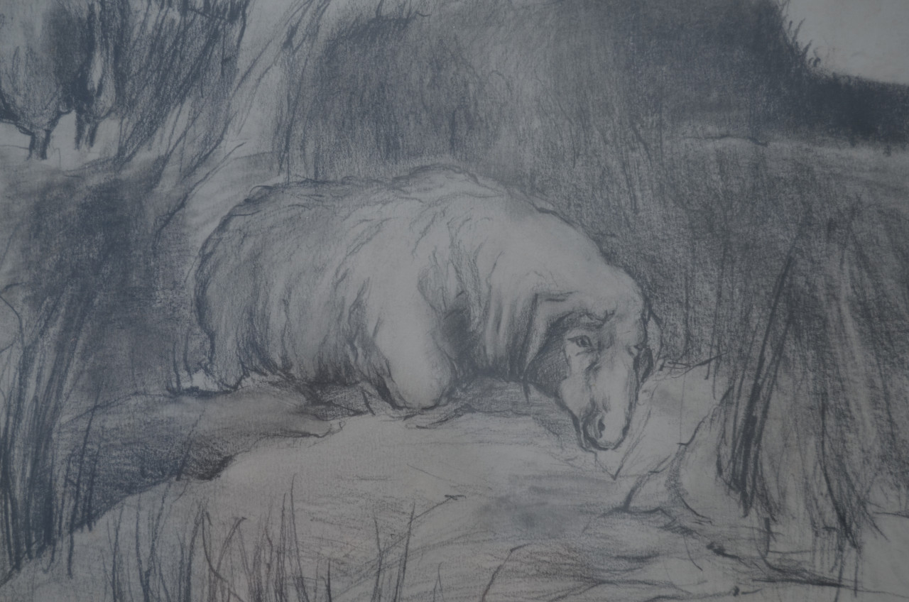 Houtskooltekening (?) schapen, mishandeld zo te zien, door H. Tummers 1983