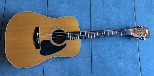Ibanez gitaar voor.......