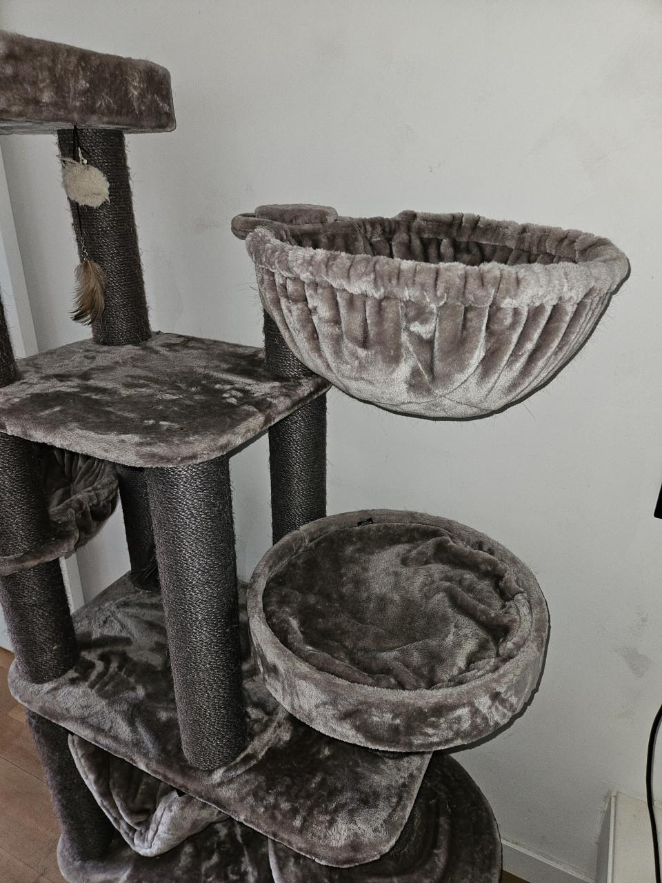 Katten krabtoren van Pet Rebels