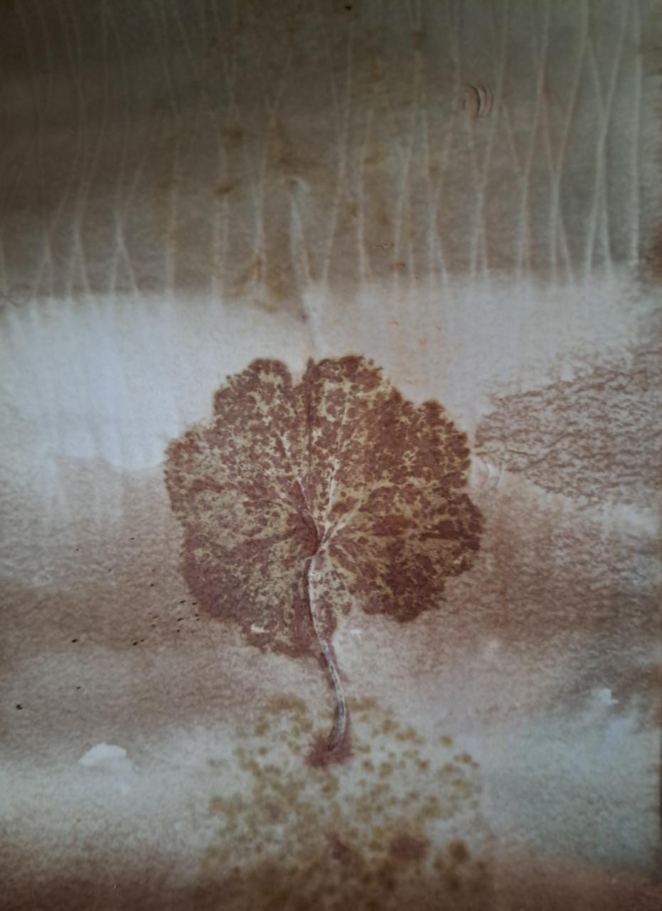 Workshop Ecoprinten op stof en papier 13 december