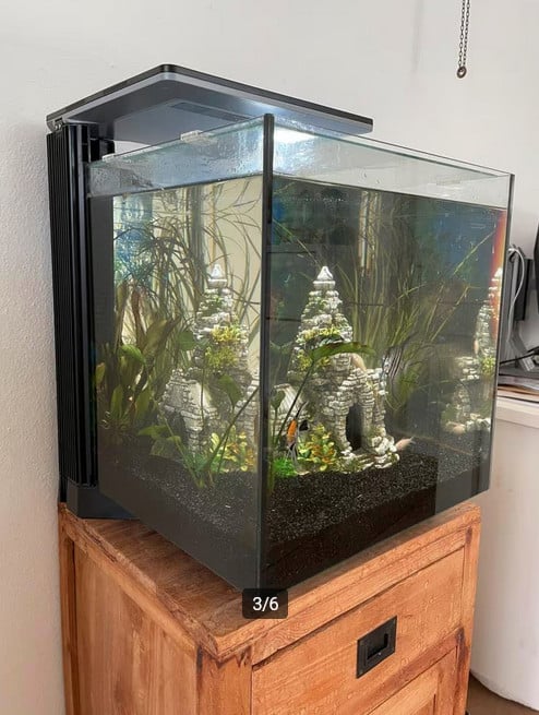 Superfish Qubiq 60 pro