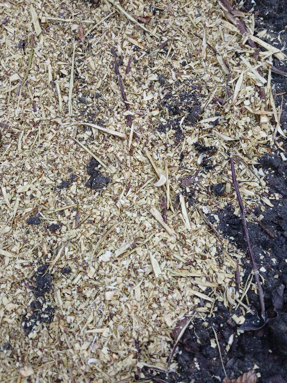 Bosch AXT Rapid 2000 tuinhakselaar