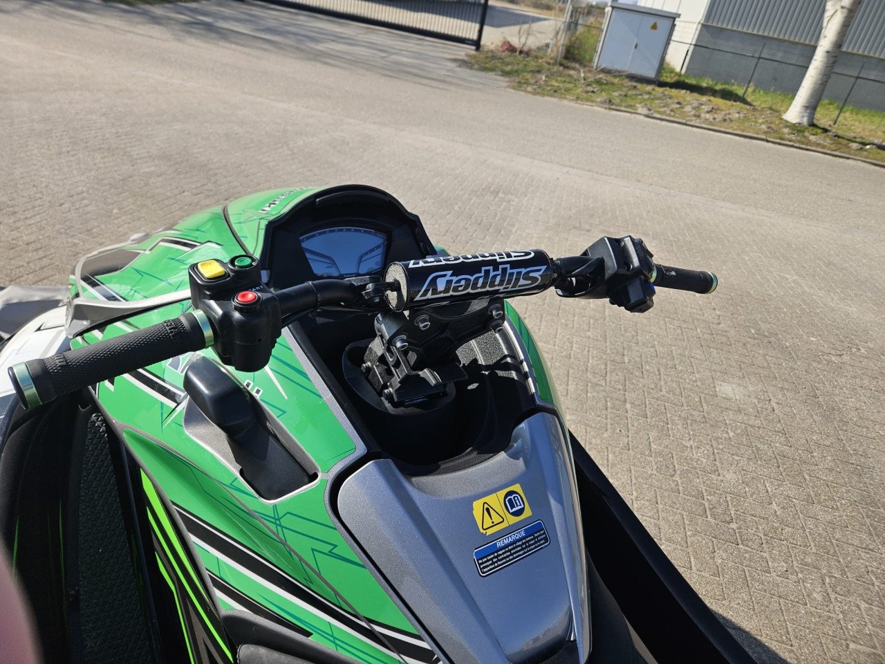 Kawasaki 310 LX