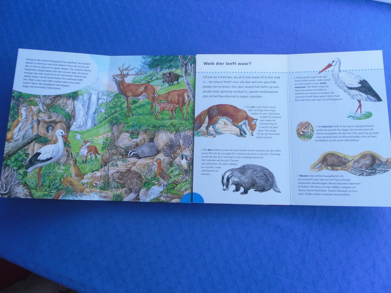 DIERENWERELD Z.G.A,N