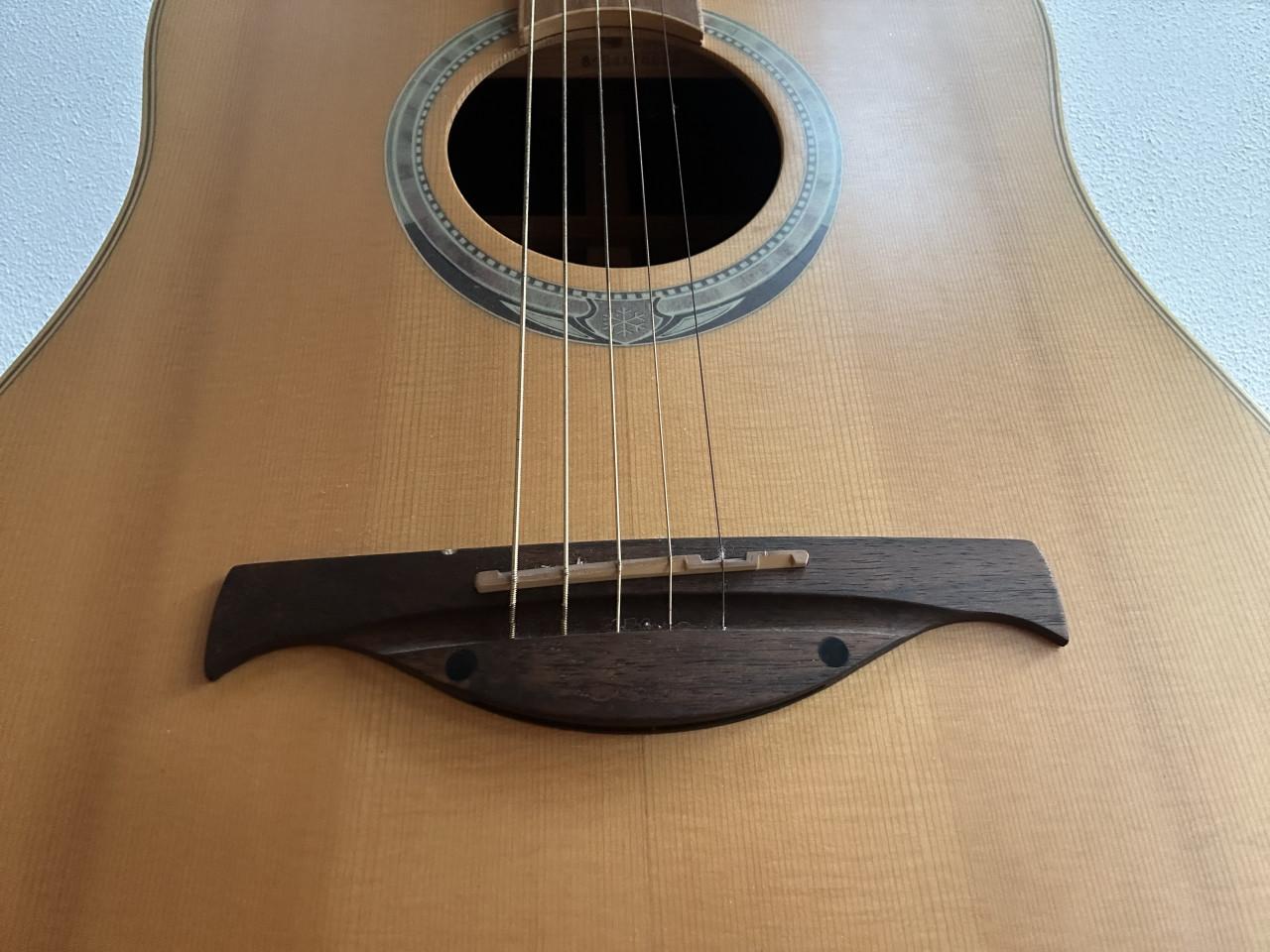 LAG Gitaar ( France)