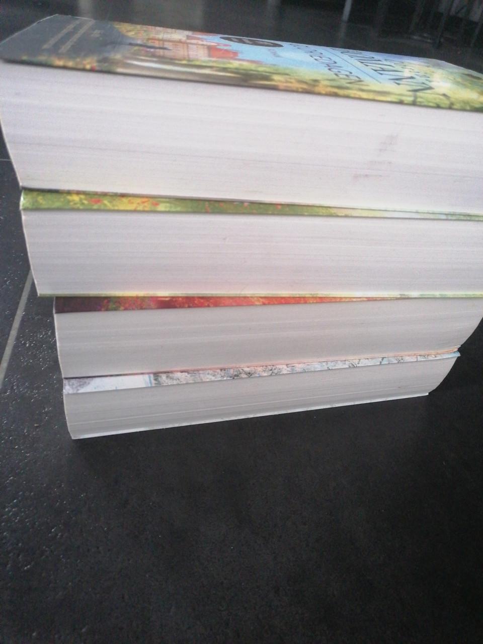 Corina Bomann Walfriede serie