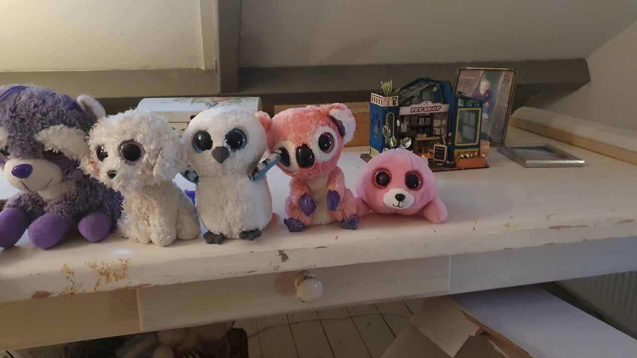 Ty knuffels