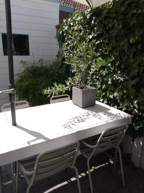 Steigerhout tafel steigerbuis