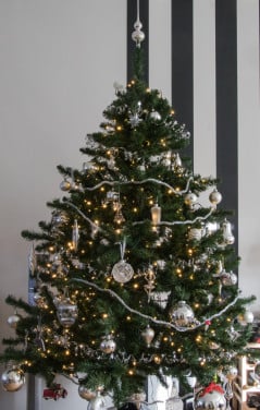 Kerstboom