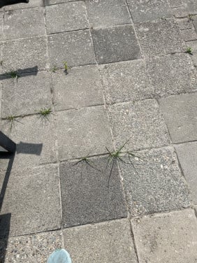 Gratis 35m2 tuintegels
