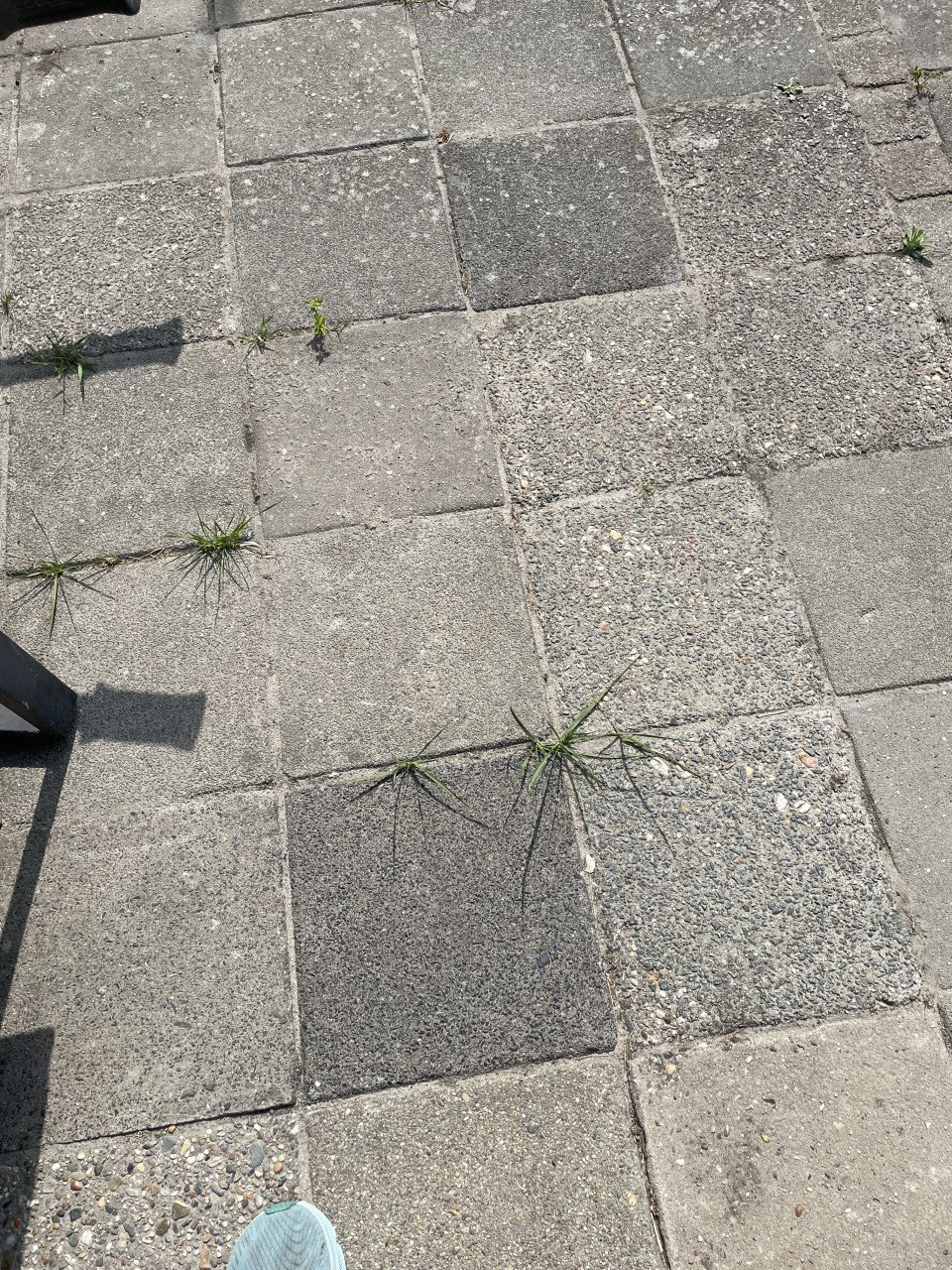 Gratis 35m2 tuintegels