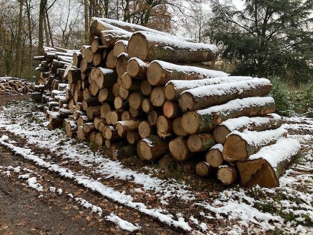 Openhaardhout/brandhout/kachelhout boomstammen