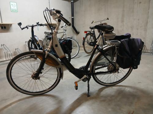 Elektrische damesfiets