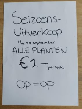 SEIZOENS UITVERKOOP SIERTUIN + MOESTUIN PLANTEN BIJ DE VOORDEUR:  €1.00/st
