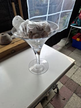 Glazenschaal op voetstuk + schelpen