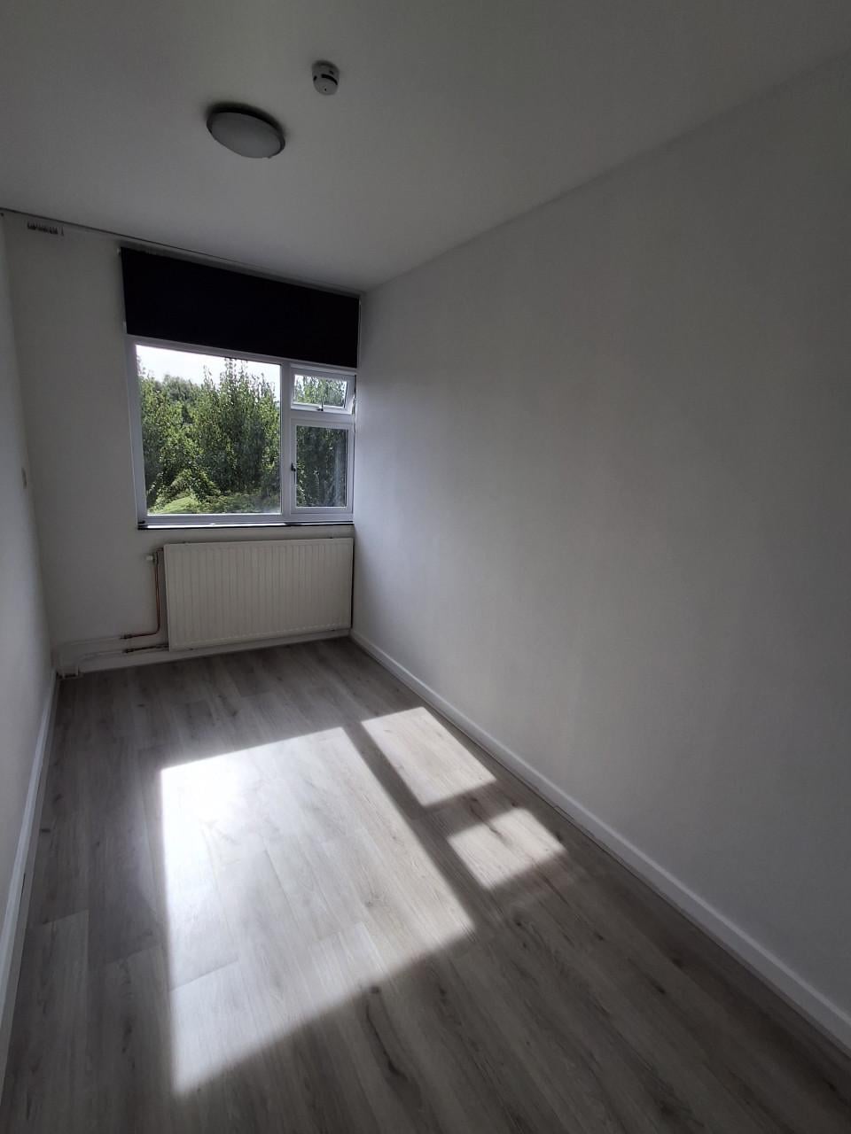Nette kamers Vlissingen