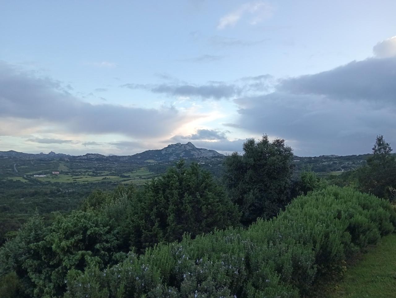 Tekenen en schilderen op Sardinië