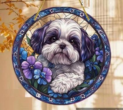 Raamhanger boomer hondje - Shih tzu