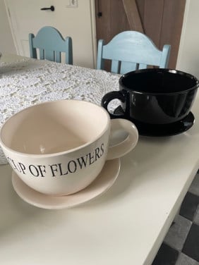 Grote kop en schotels bloempot