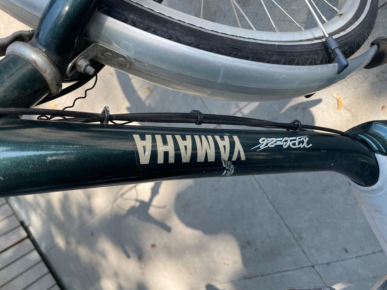Elektrsche damesfiets.