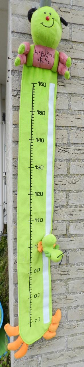 Groeimeter Rups