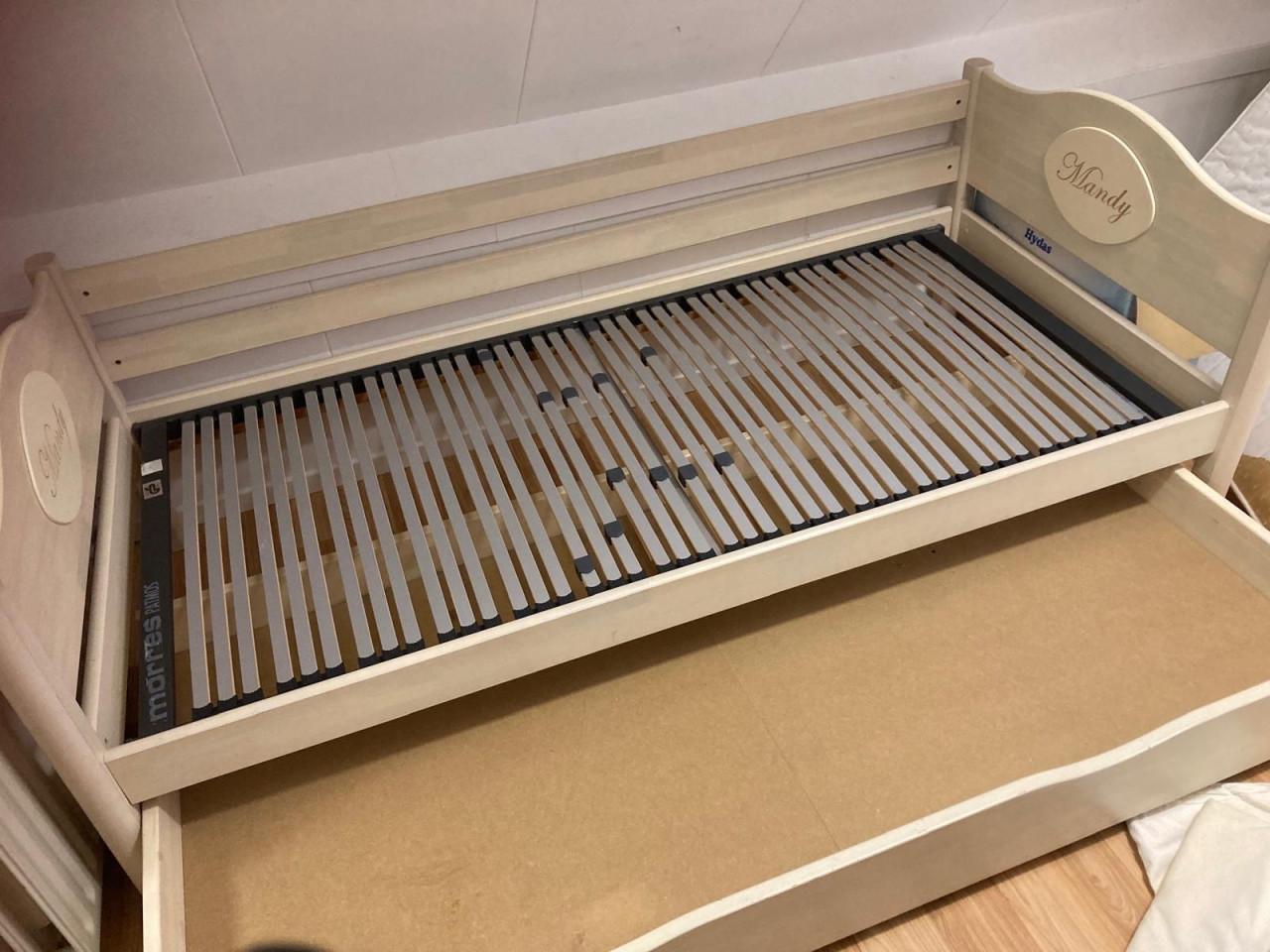 Witte disney bedbank