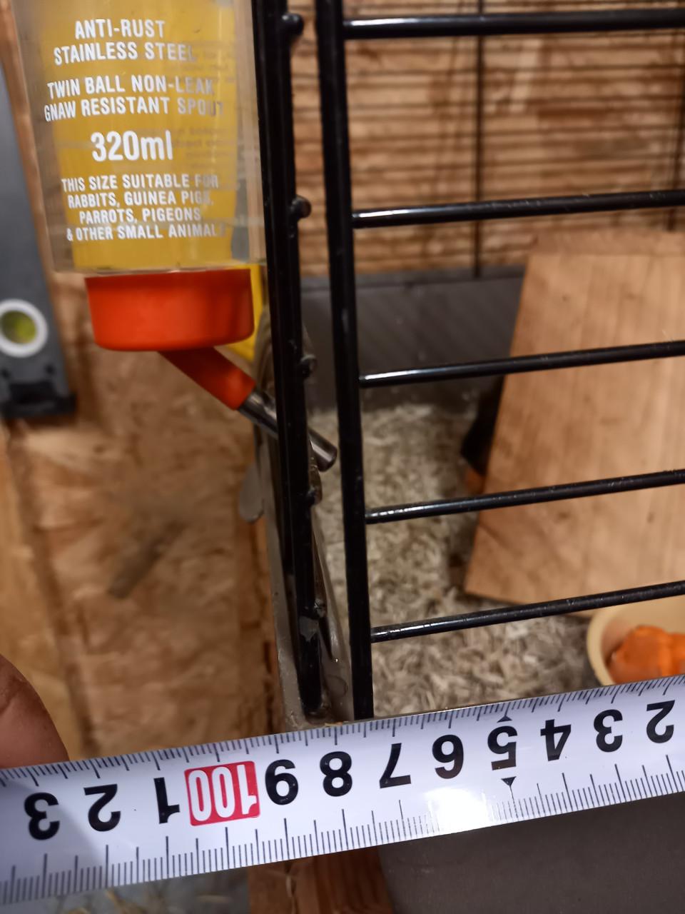 Cavia beren incl. hok