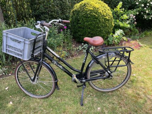 Fiets