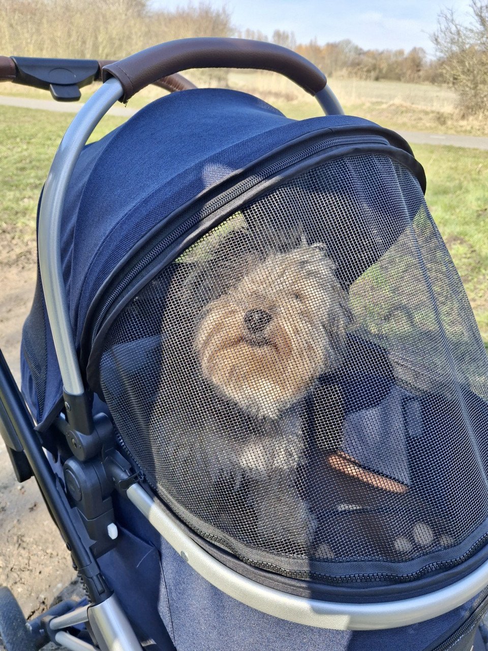 Hondenbuggy nieuw!