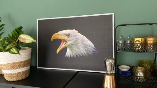 Portret op hout Amerikaanse zee arend