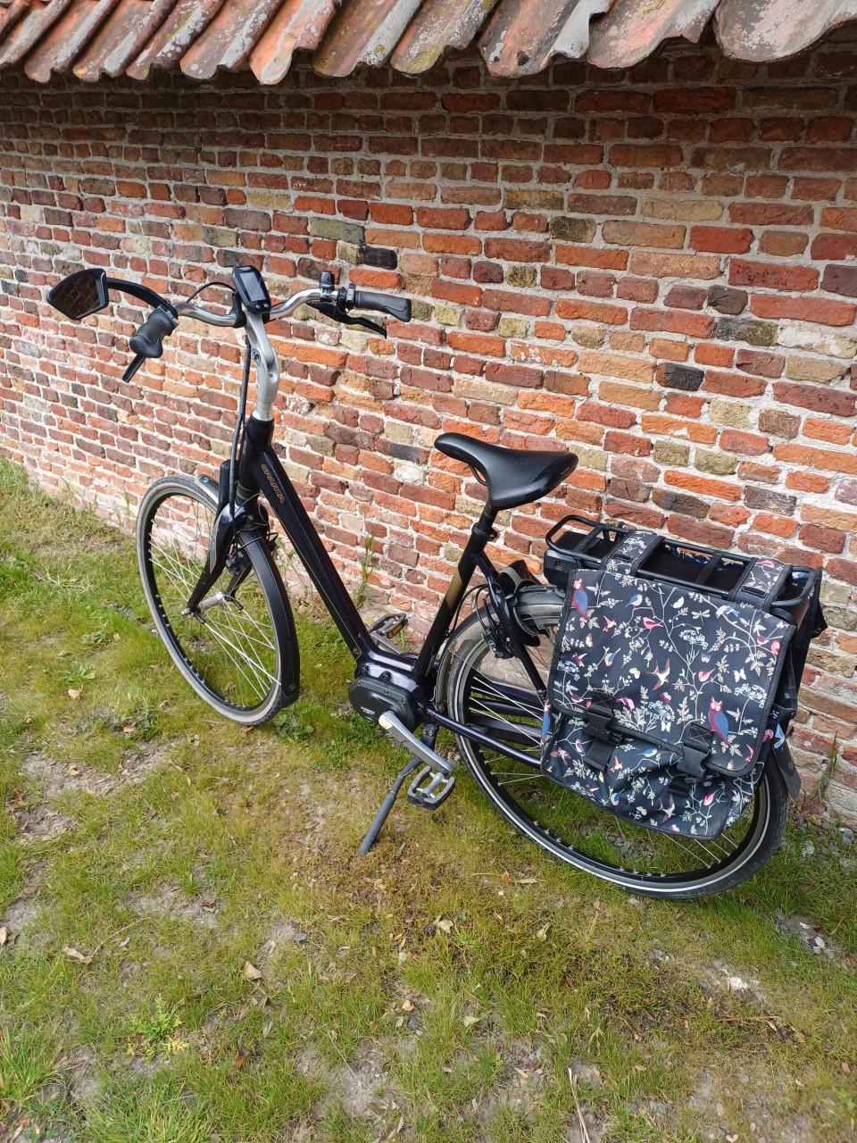 Elektrische fiets Sparta M8S framemaat 55 cm